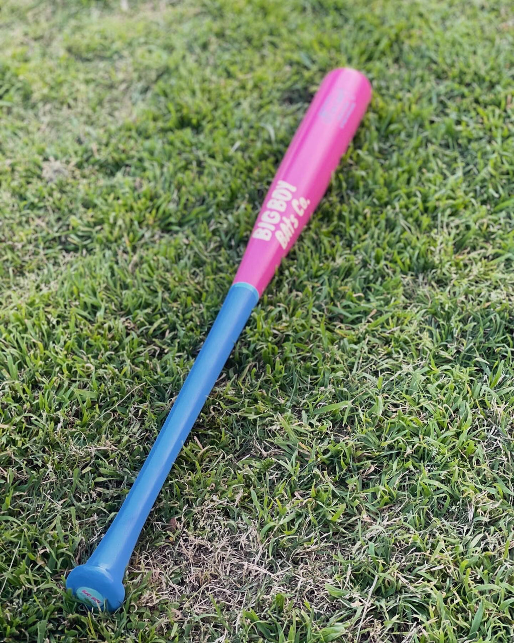 Cotton Candy Ed.