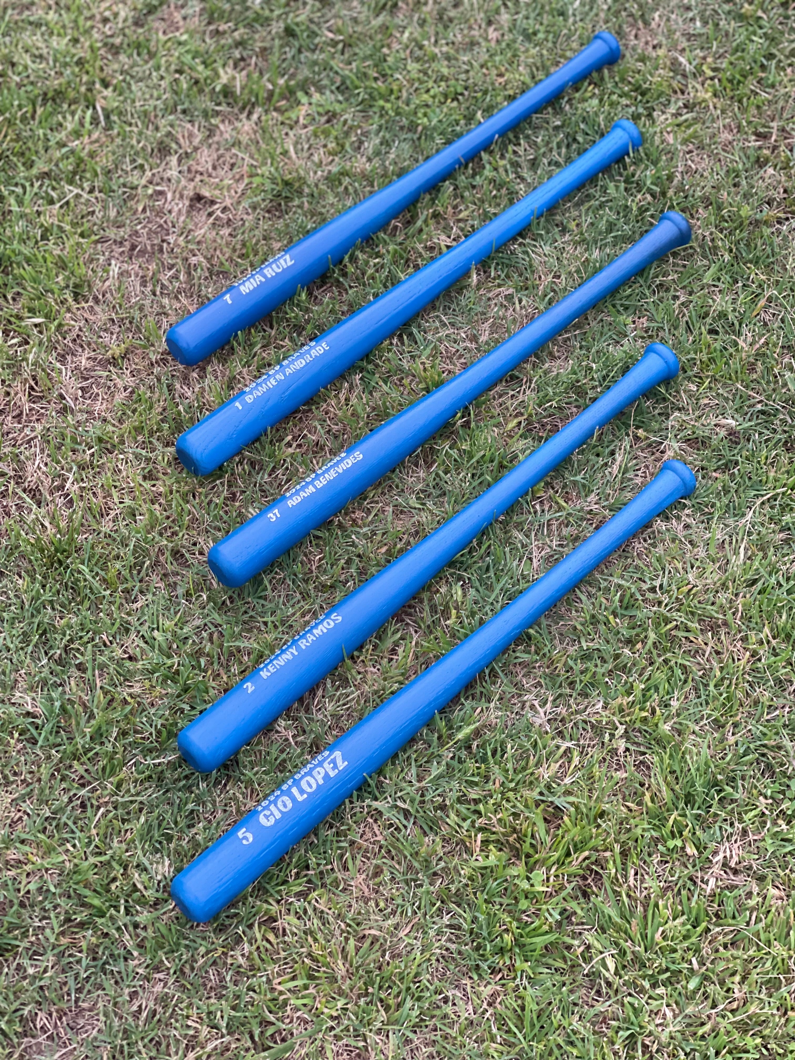 Custom mini Bats