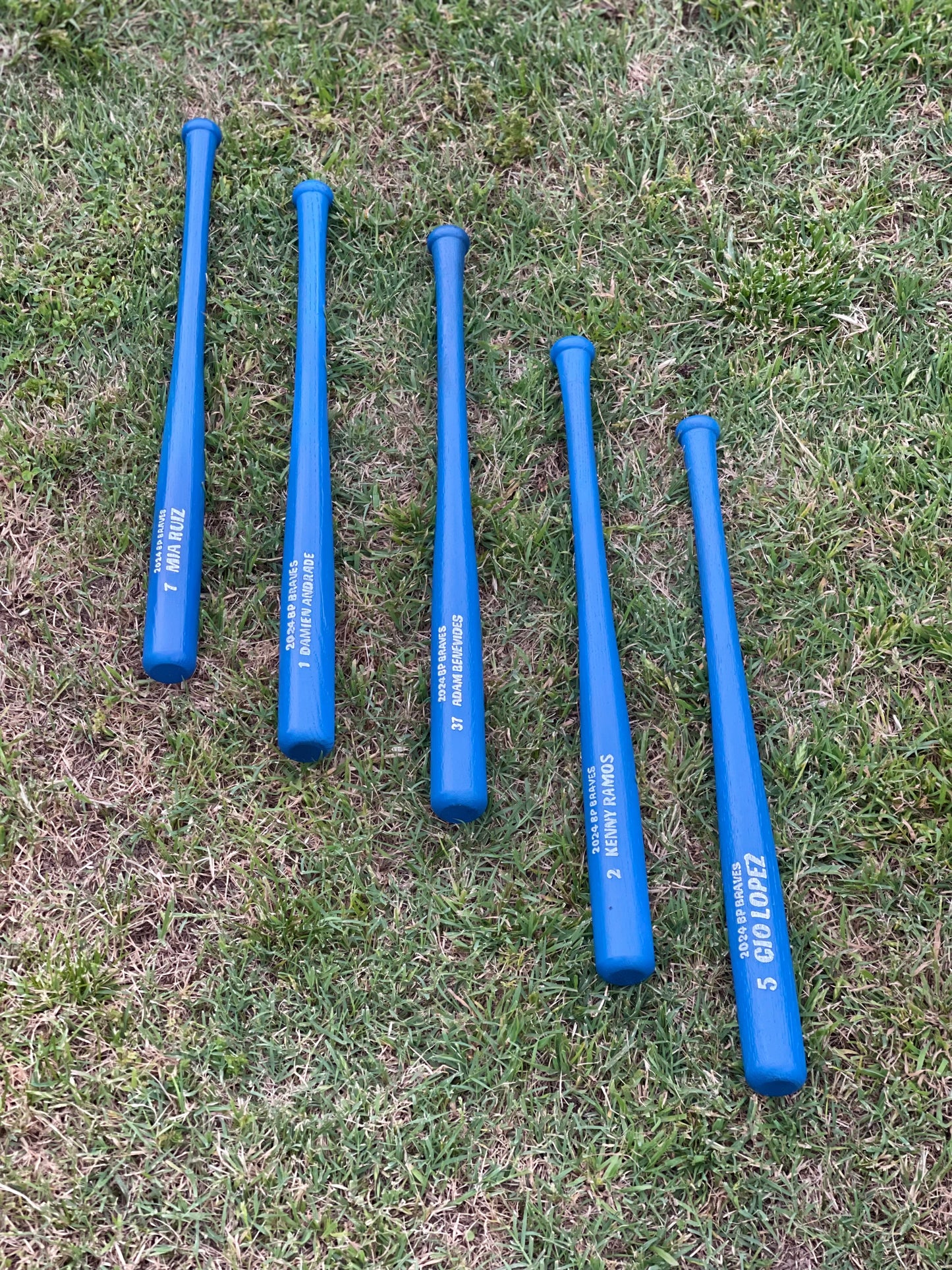 Custom mini Bats