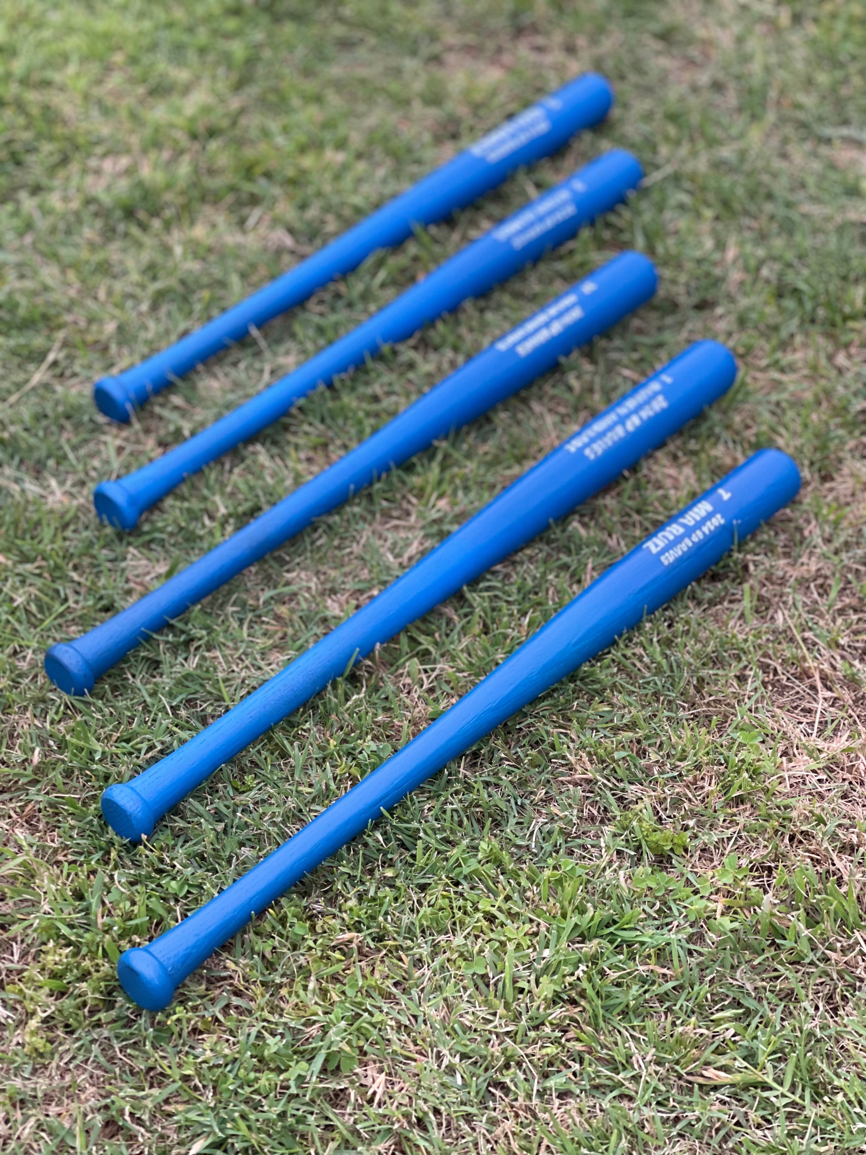 Custom mini Bats