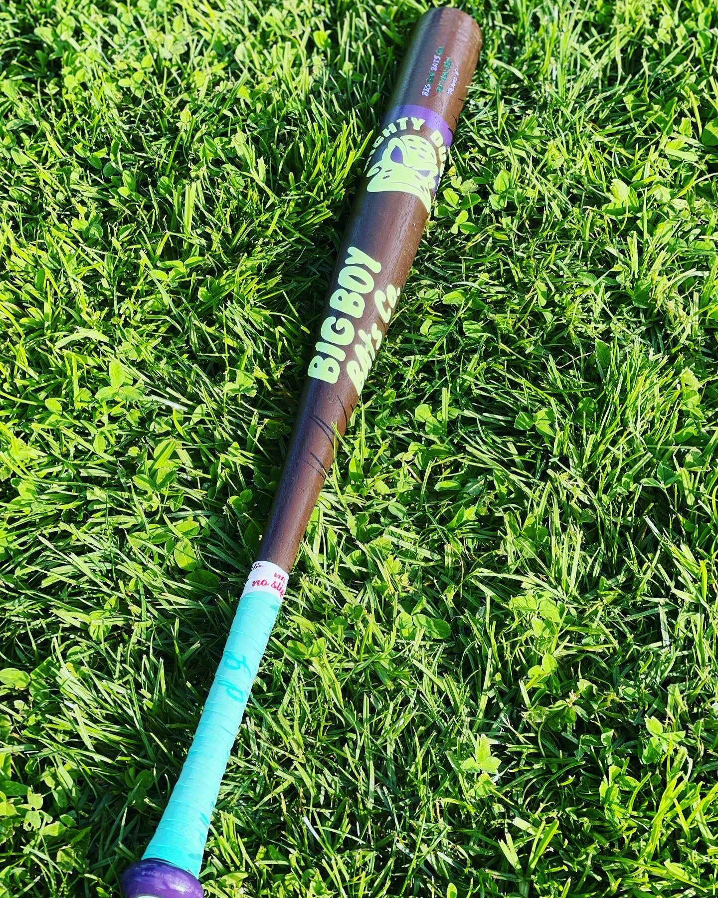 Might Ducks bat