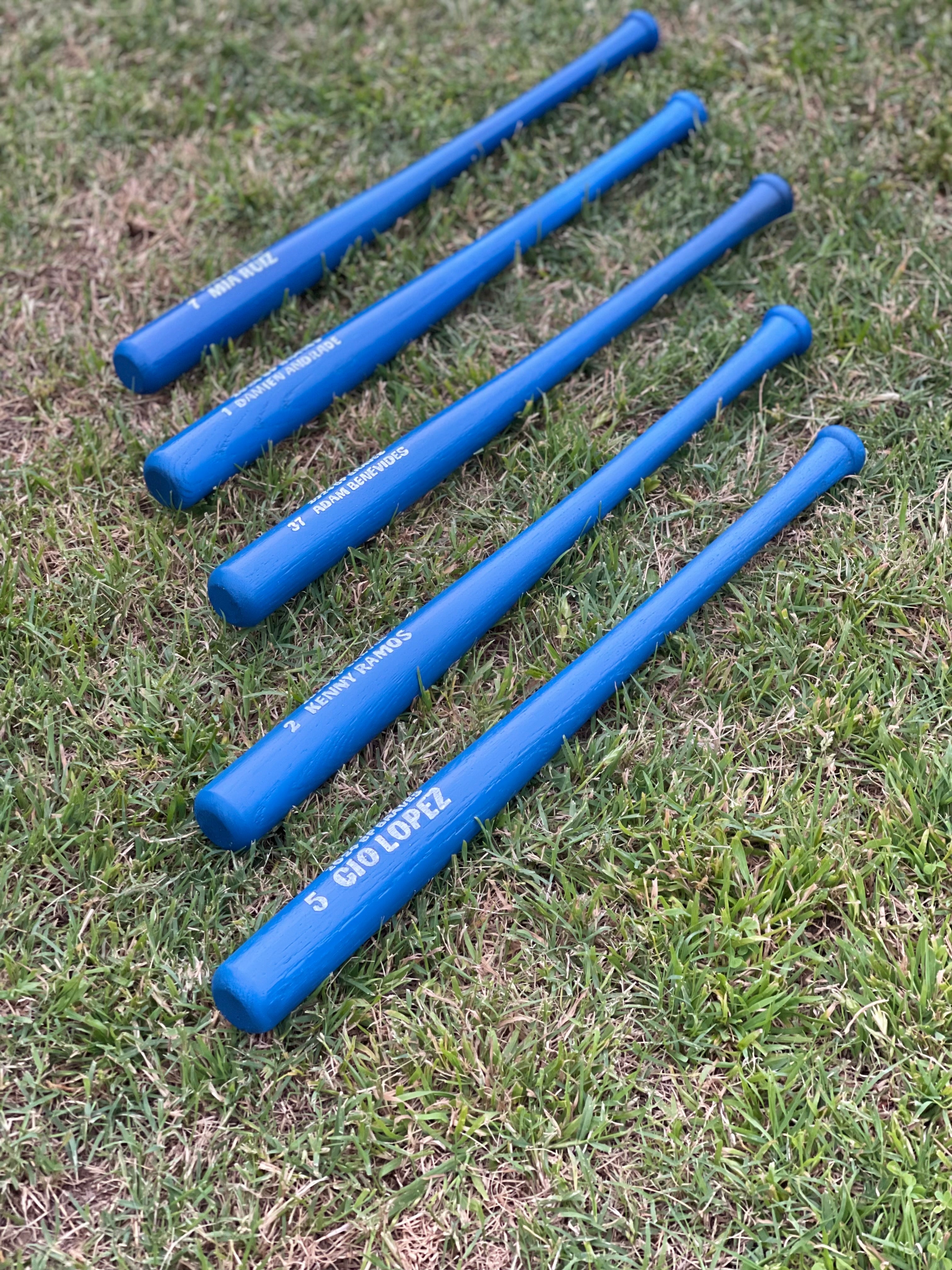 Custom mini Bats