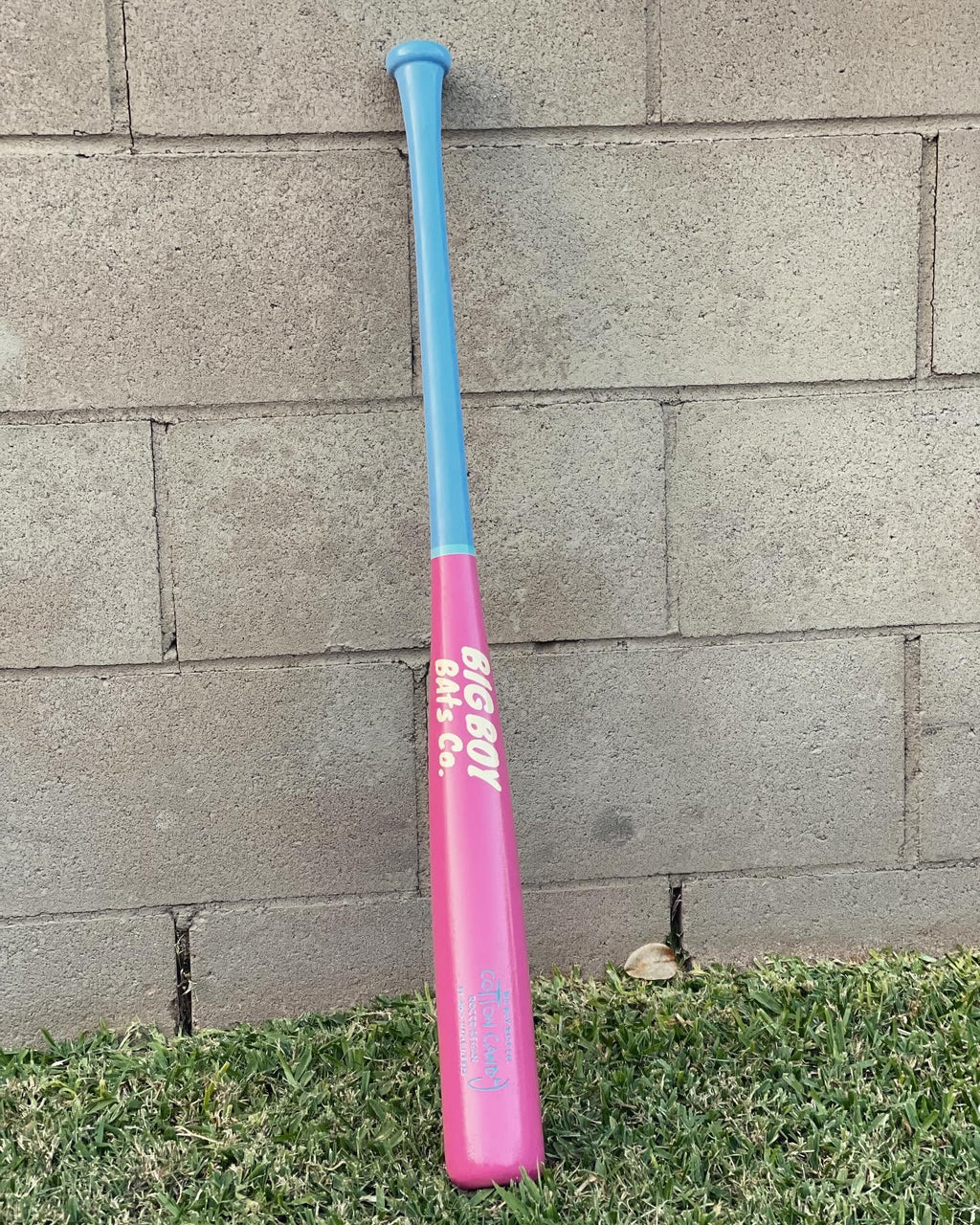 Cotton Candy Ed.